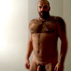 Second pic of Bears 2 - 18 Pics | xHamster