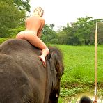 Second pic of Terry - Sri Lanka - Elephant Ride picture gallery