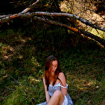 First pic of cicadas songs