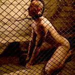 First pic of Boy in the Dog Cage - Porn For Women