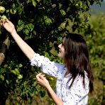 First pic of Green Apples with Adel Morel by Marlene