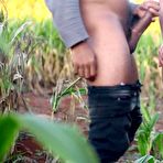 First pic of Hot anal fuck in a cornfield - Amateur Ana Chaude - AmateurPorn