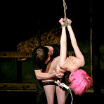 Third pic of Pink haired slave girl Cherry Torn gets tormented with her black stockings on.