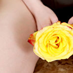 First pic of YELLOW ROSE with Jia Lissa by Flora