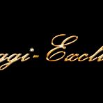 Fourth pic of Daggi-Exclusive | A horny big cock is enjoying my ass and my blowjob