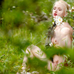 Third pic of Nika Nude in Tall Grass