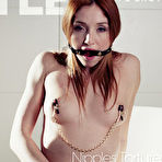 First pic of TheLifeErotic - NIPPLES TORTURE 1 with Michelle H