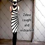 First pic of Club Rubber Restrained | Zebra girl caught and restrained - video