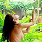 Third pic of Anna AJ Tropical Set at ErosBerry.com - the best Erotica online