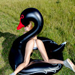 Second pic of Nancy A Black Swan