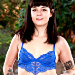 First pic of Nova Vixen in Blue Lace Lingerie at ATK Galleria - Free Naked Picture Gallery at Nudems