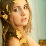 Second pic of Kristi Autumn Leaves By Art Of Dan World at ErosBerry.com - the best Erotica online