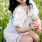 First pic of Sasha Jane in Dandelions at MetArt - Free Naked Picture Gallery at Nudems