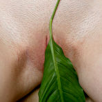 Second pic of Kristina Proxy in Body As Paint Brush at Zishy - Direct Stripper