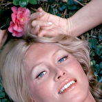 First pic of Sharon Johansen in October Playboy Playmate Of The Month 1972 - Free Naked Picture Gallery at Nudems