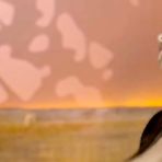 Fourth pic of Bahu Ka Nasha Hindi MoodX Uncut Short Film - EPORNER