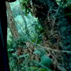 Fourth pic of Kuwari Kanya E01 Hindi Uncut Hot Web Series - EPORNER