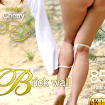 First pic of avErotica Cherry in Cherry Brick wall