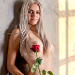 Third pic of Susann Naked with a Rose