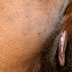 Third pic of Miltie