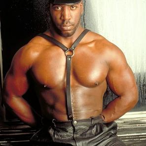 Black Muscled Hunk Stripping #266554